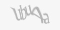 Varnostna koda
