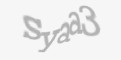 Varnostna koda