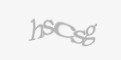 Varnostna koda