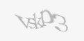 Varnostna koda
