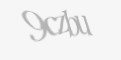 Varnostna koda